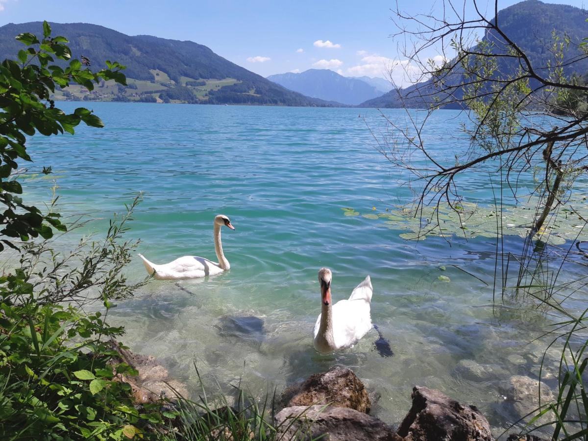 Apartment Am Wolfgangsee Strobl Eksteriør billede
